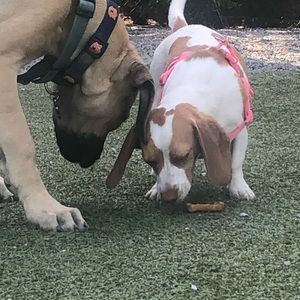 Meet your Posher, Tamara